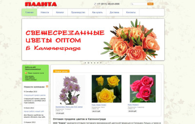 Цветы оптом в Калининграде